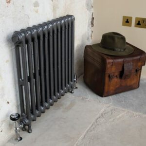 Victorian 2 Column Cast Iron Radiator