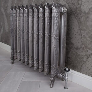 Dragonfly Cast Iron Radiator