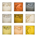 Roberson swatches